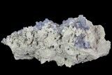 Purple/Gray Fluorite Cluster - Marblehead Quarry Ohio #81188-2